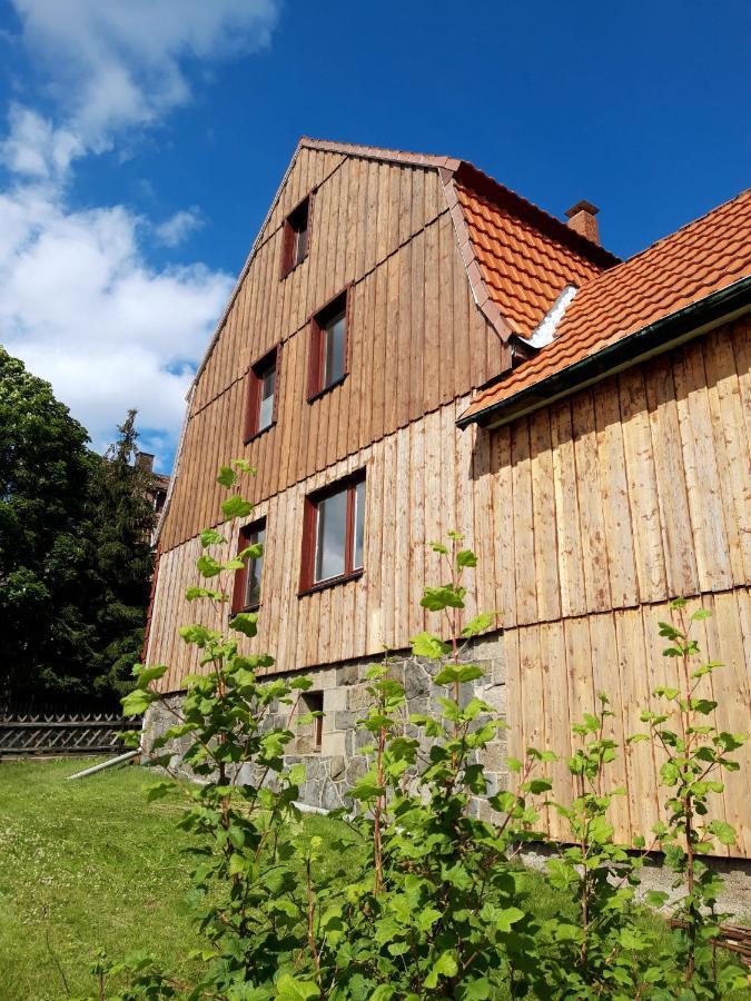 Ferienhaus Im Bergdorf Hohegeiß Buitenkant foto